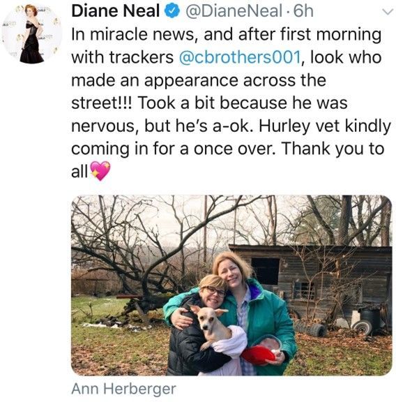 Review Seven — Stephens City, VA — Professional Pet Trackers