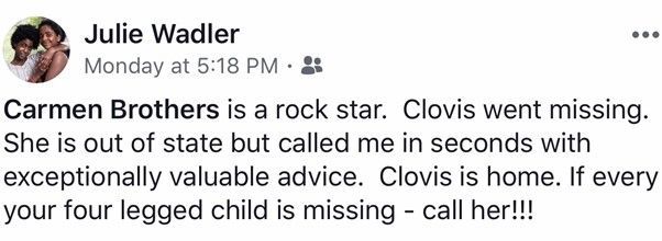 Review Six — Stephens City, VA — Professional Pet Trackers