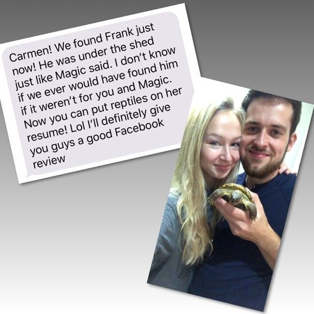 Review Five — Stephens City, VA — Professional Pet Trackers