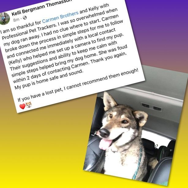 Review Three — Stephens City, VA — Professional Pet Trackers