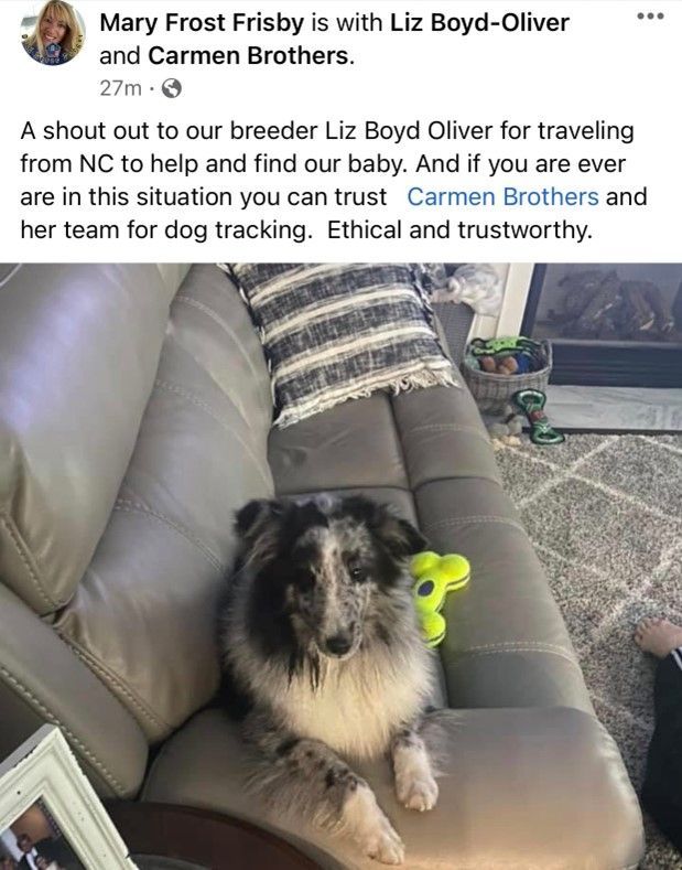 Review Two — Stephens City, VA — Professional Pet Trackers