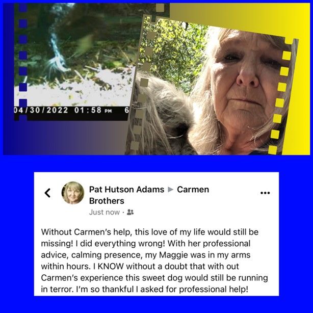 Review One — Stephens City, VA — Professional Pet Trackers