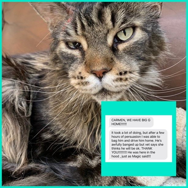 Review Fifteen — Stephens City, VA — Professional Pet Trackers