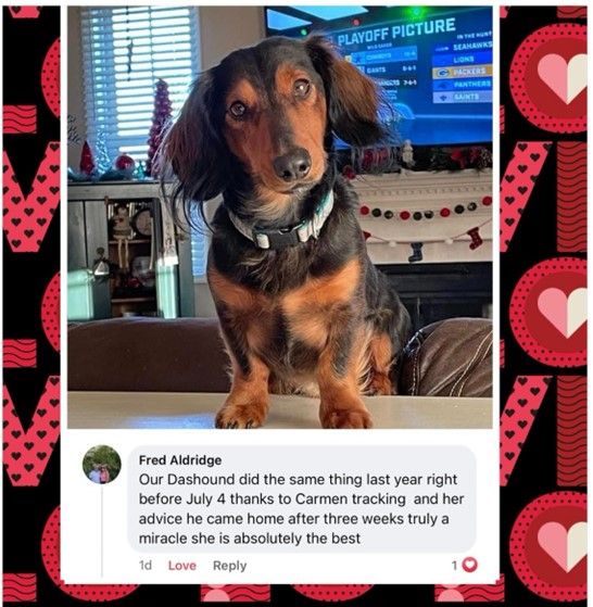 Review Twelve — Stephens City, VA — Professional Pet Trackers