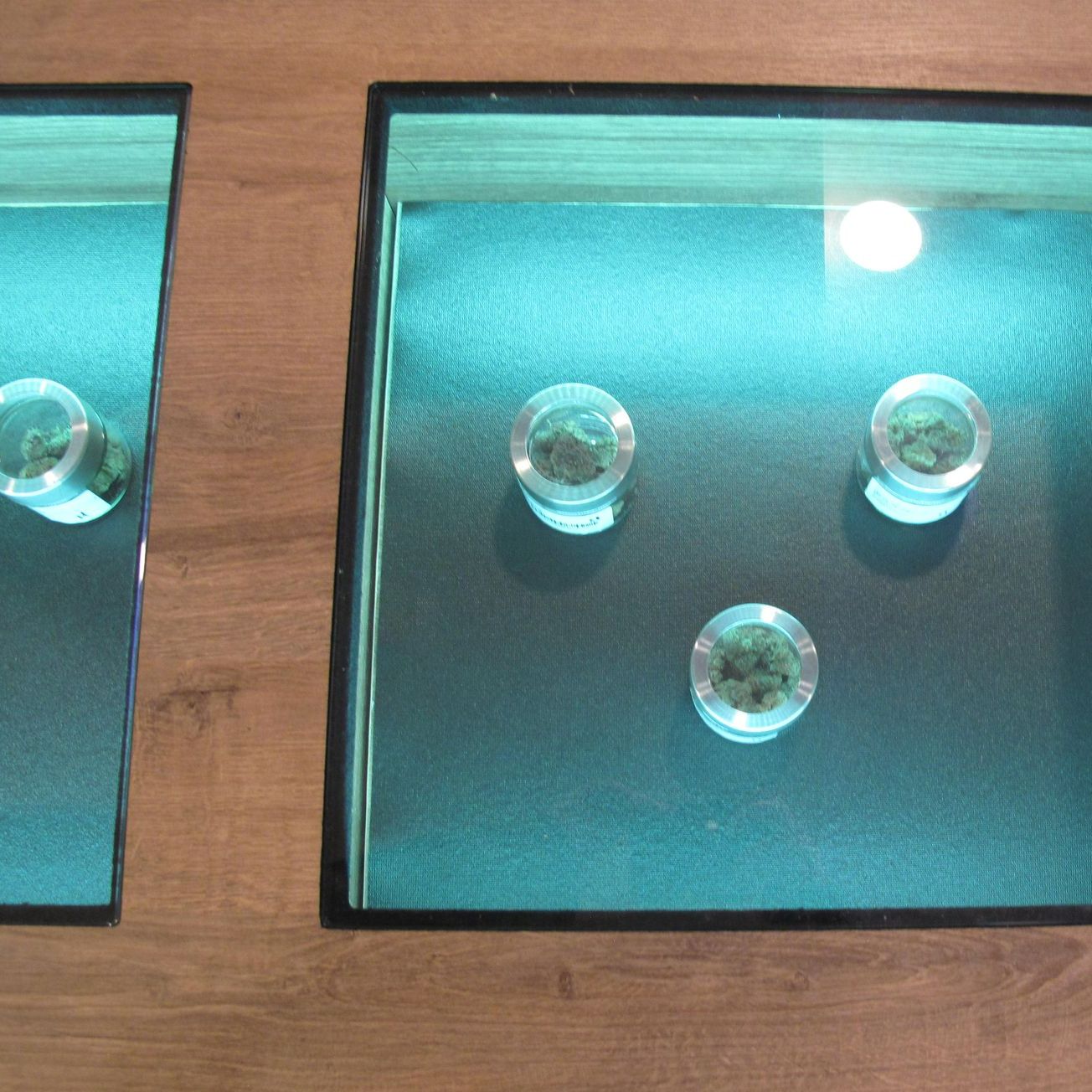 Cannabis flower display