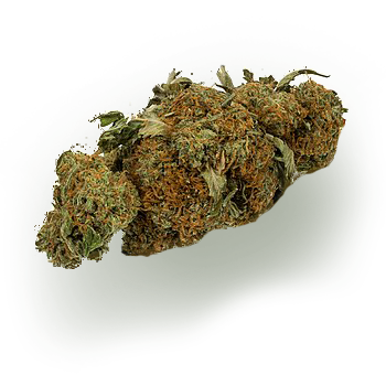 Dried cannabis flower