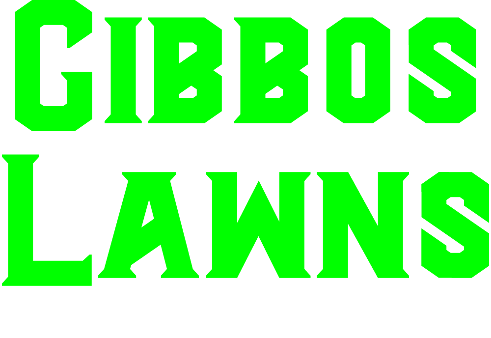 High-Quality Property Maintenance in Port Stephens