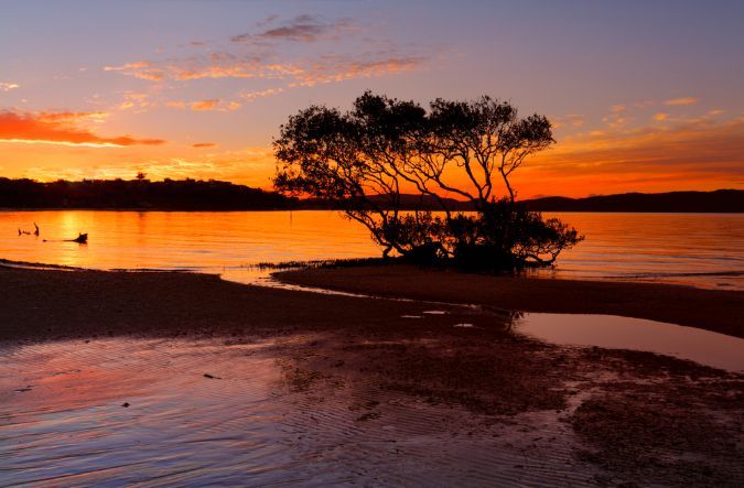 A Sunset Over A Body Of Water With A Tree In The Foreground — Gibbo’s Lawns & Property Maintenance In Salamander Bay, NSW