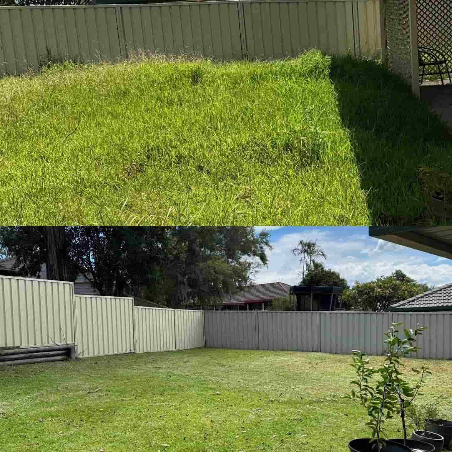 A Before And After Picture Of A Lawn With A White Fence — Gibbo’s Lawns & Property Maintenance In Salamander Bay, NSW