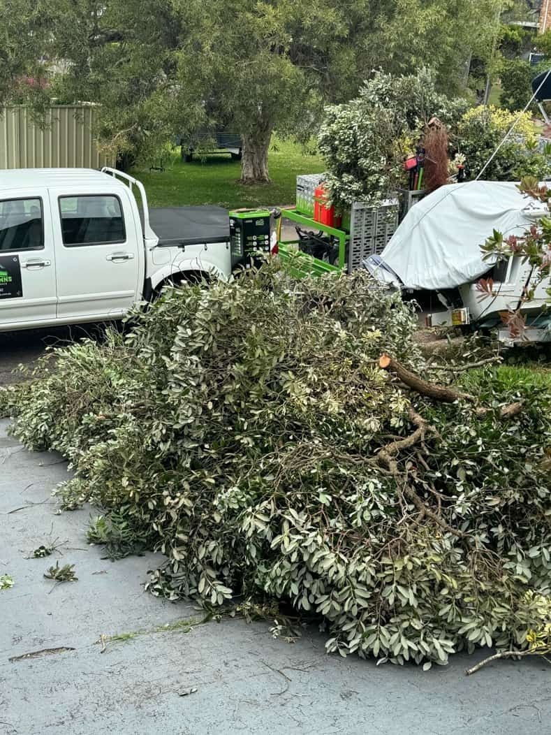 A White Truck Is Parked Next To A Pile Of Branches On The Side Of The Road — Gibbo’s Lawns & Property Maintenance In Salamander Bay, NSW
