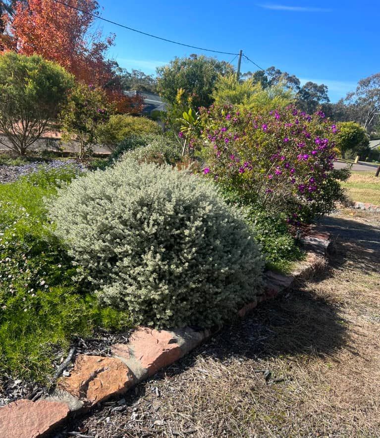 A Garden Filled With Lots Of Plants And Flowers On A Sunny Day — Gibbo’s Lawns & Property Maintenance In Salamander Bay, NSW