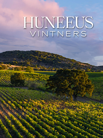 A green can of sierra nevada pale beer