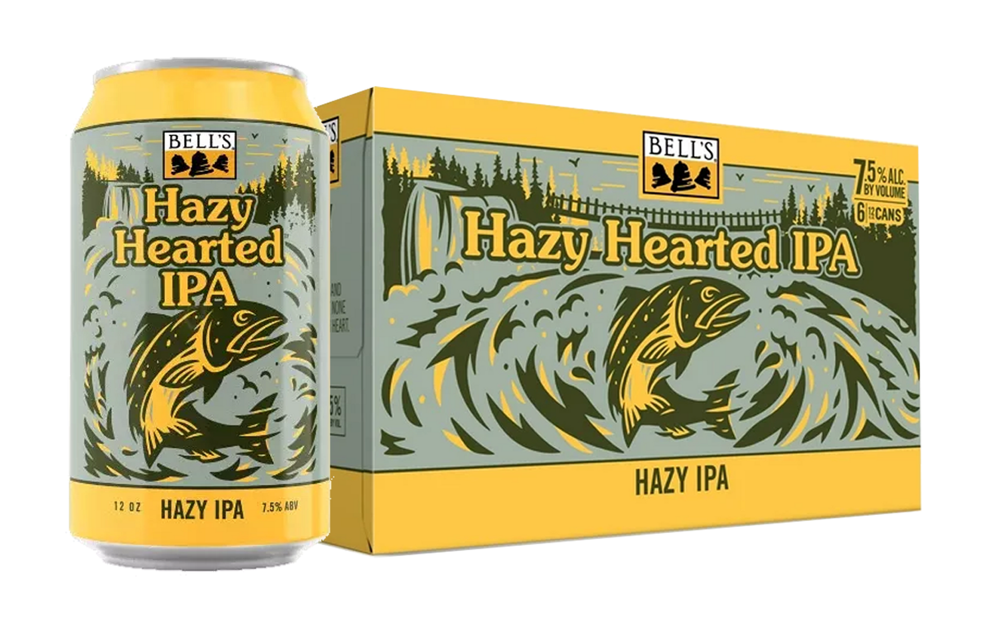 A box of sierra nevada pale ale on a white background.