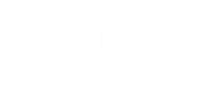A white background with a few lines on it