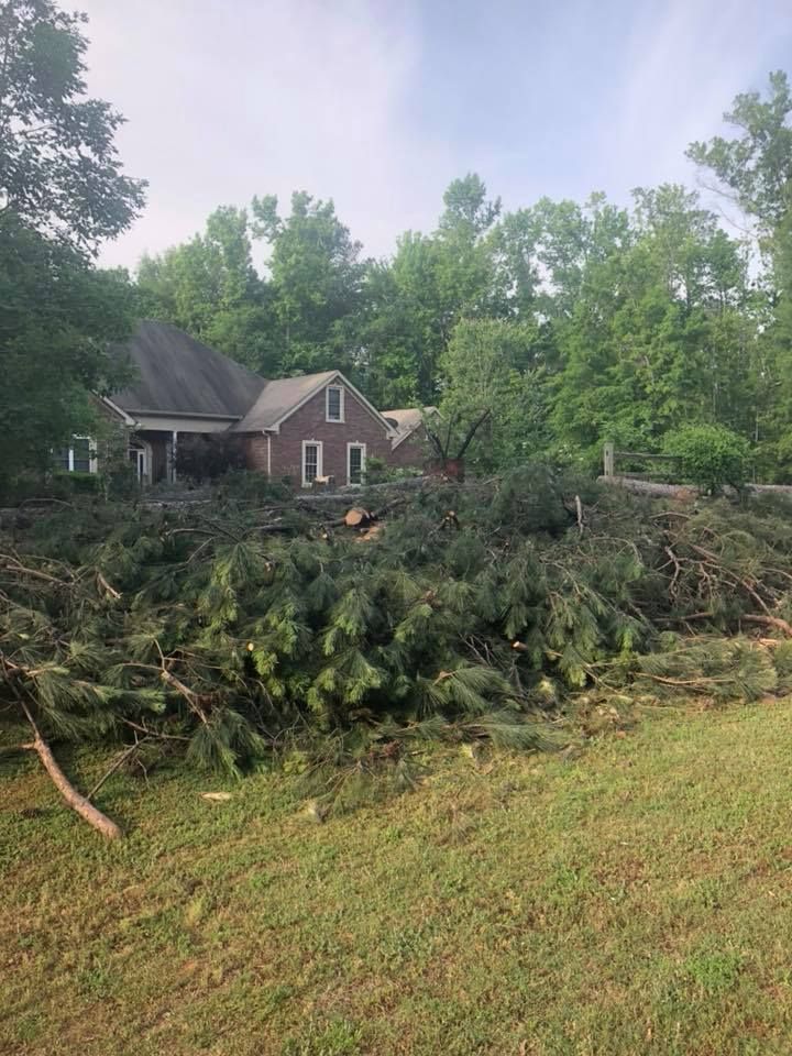 A large pile of fallen trees in front of a house.