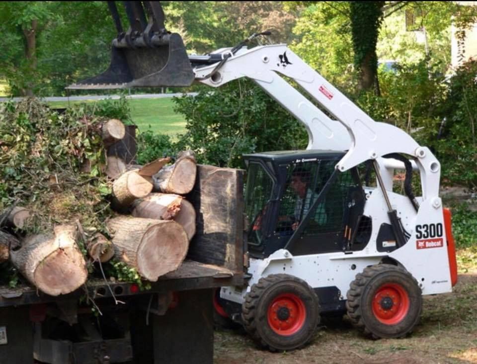 A bobcat 5300 is loading logs into a truck