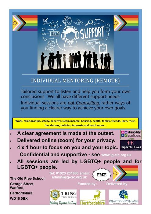 Impactful Lives Mentoring for individuals