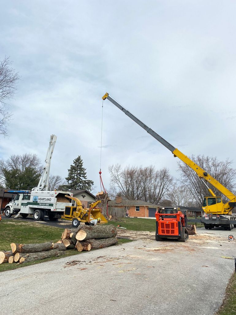 Trusted Tree Care Professionals | Heartland Tree Services