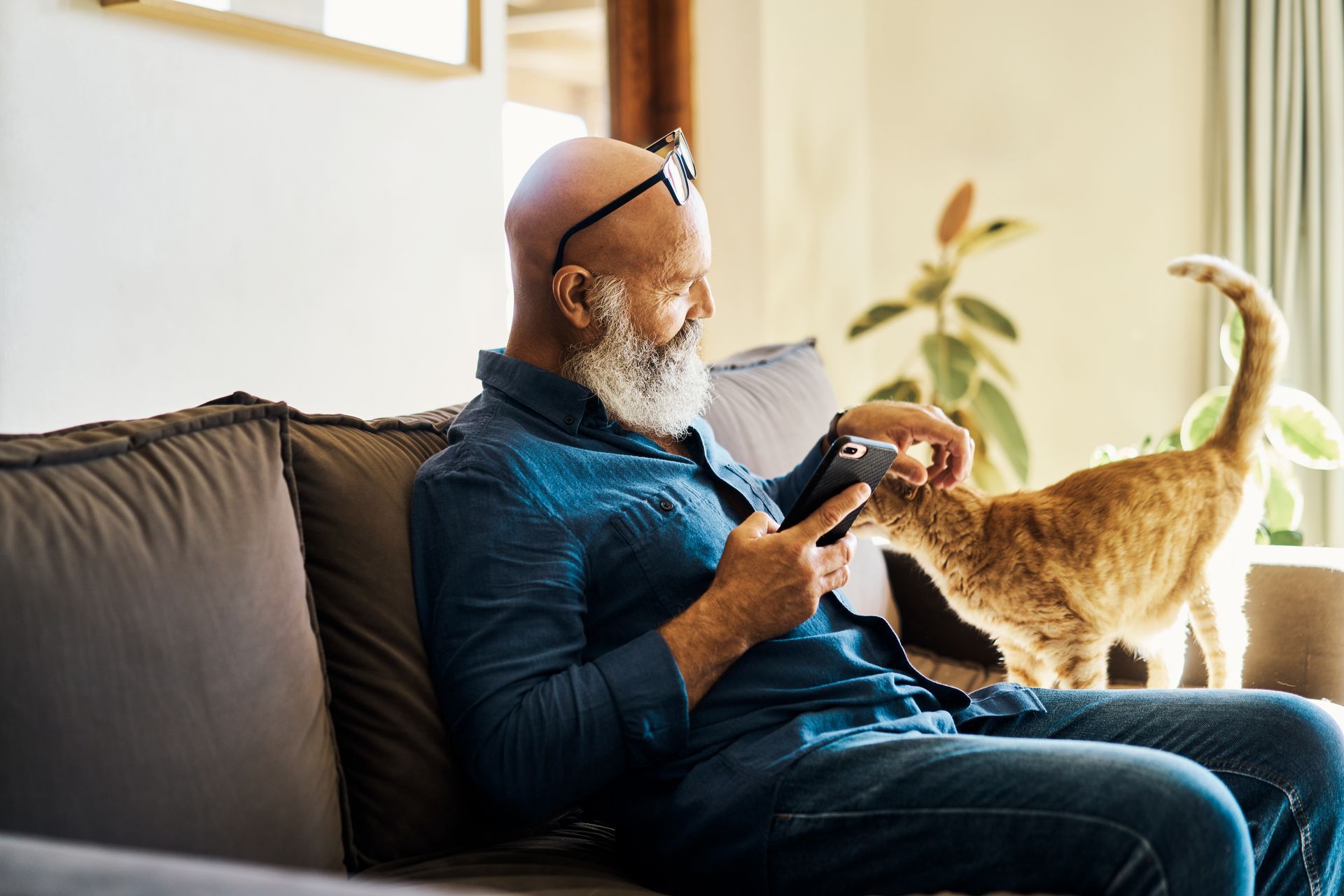 Bald, bearded man on couch pets orange cat while using phone near window.