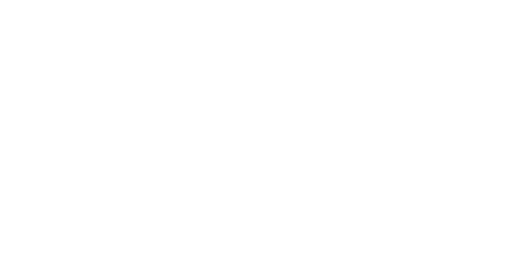 Logo Camiones Bonamico S.R.L