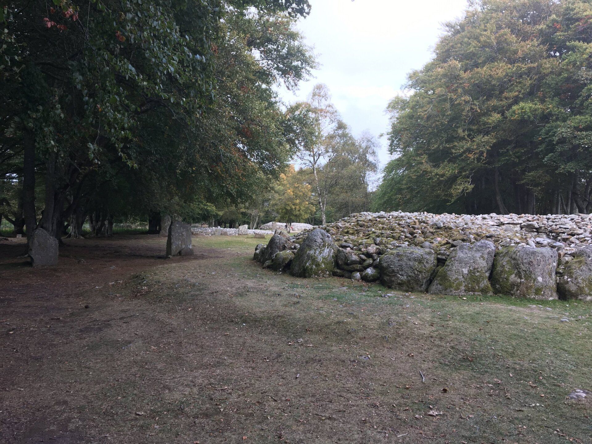 A large stone wall is surrounded by trees in a park.