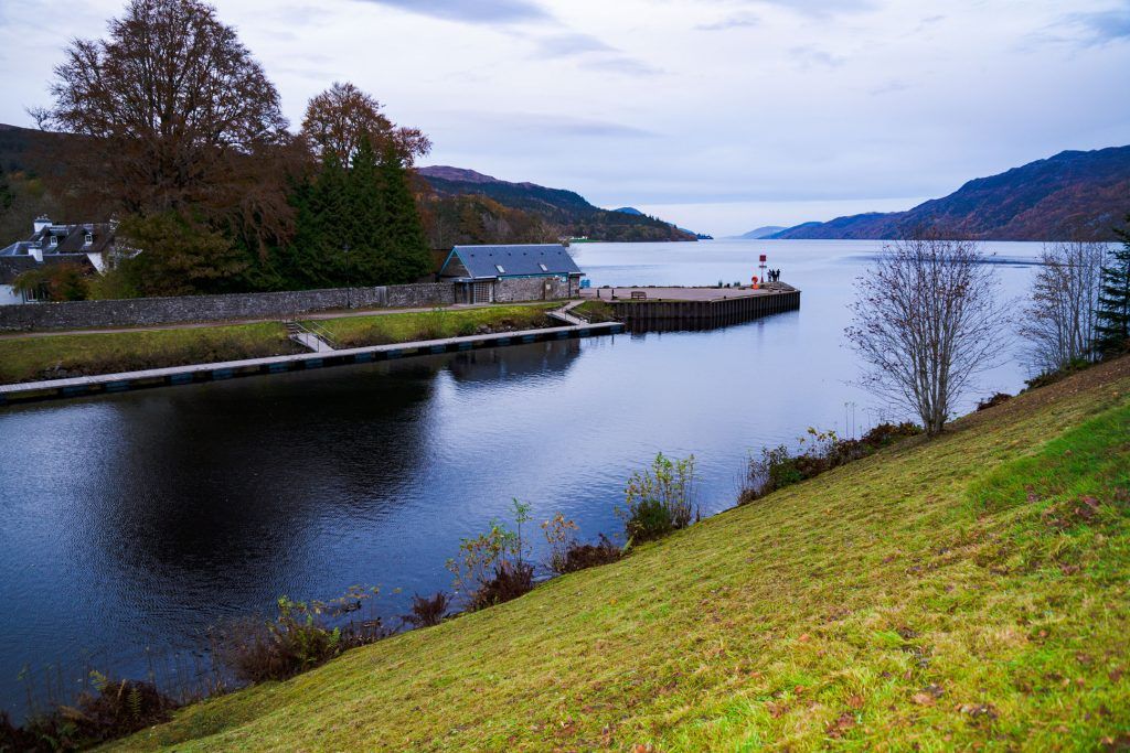 A large body of water surrounded by trees and grass.
