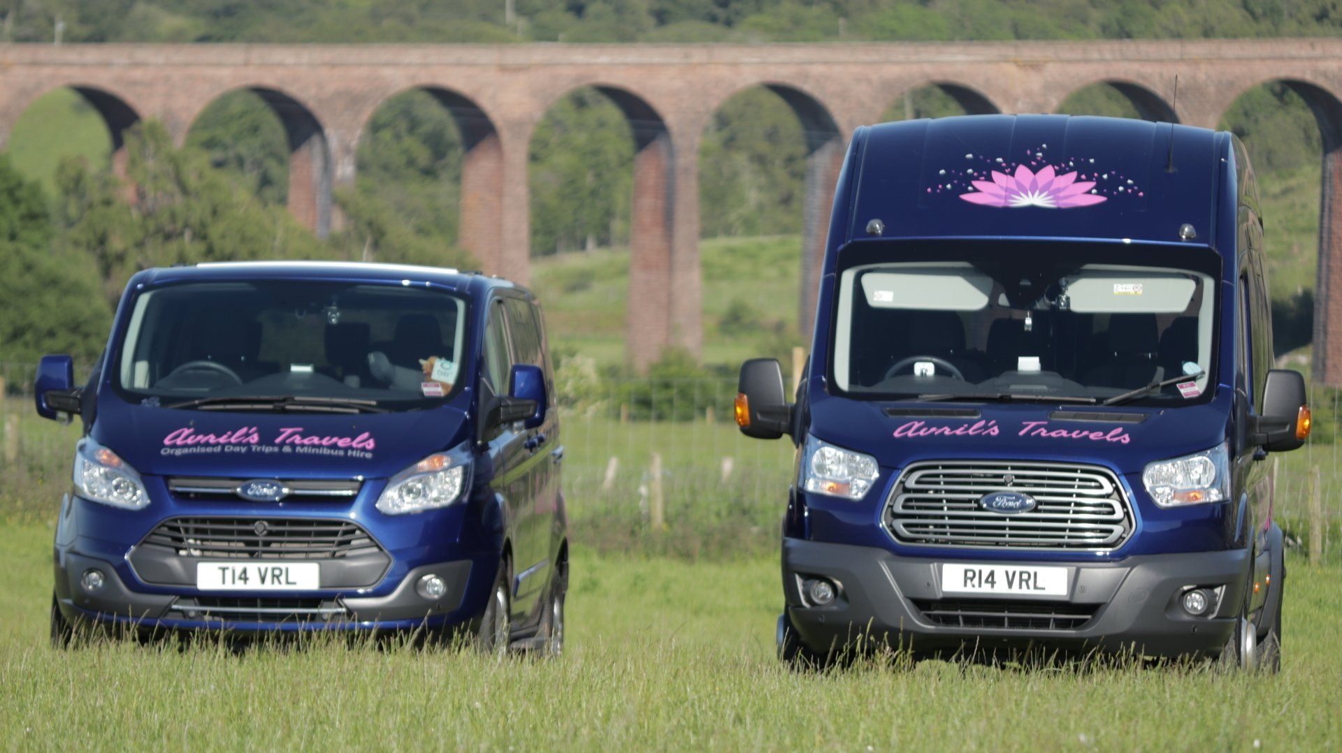 Two vans are parked in a field in front of a bridge.