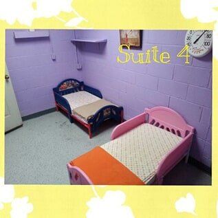Suite 4 blue and pink — Kennels in Lenoir, NC