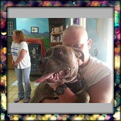 Pit Bull — Pet Grooming in Lenoir, NC