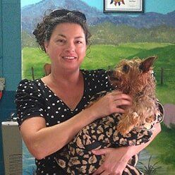 Yorkshire Terrier — Pet Grooming in Lenoir, NC