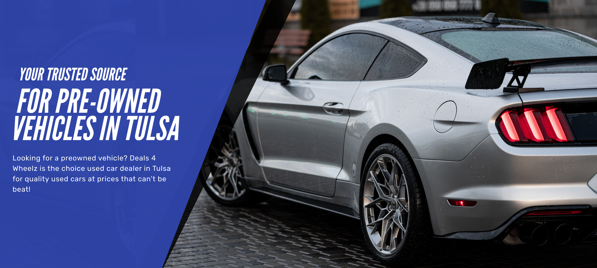 Back of mustang