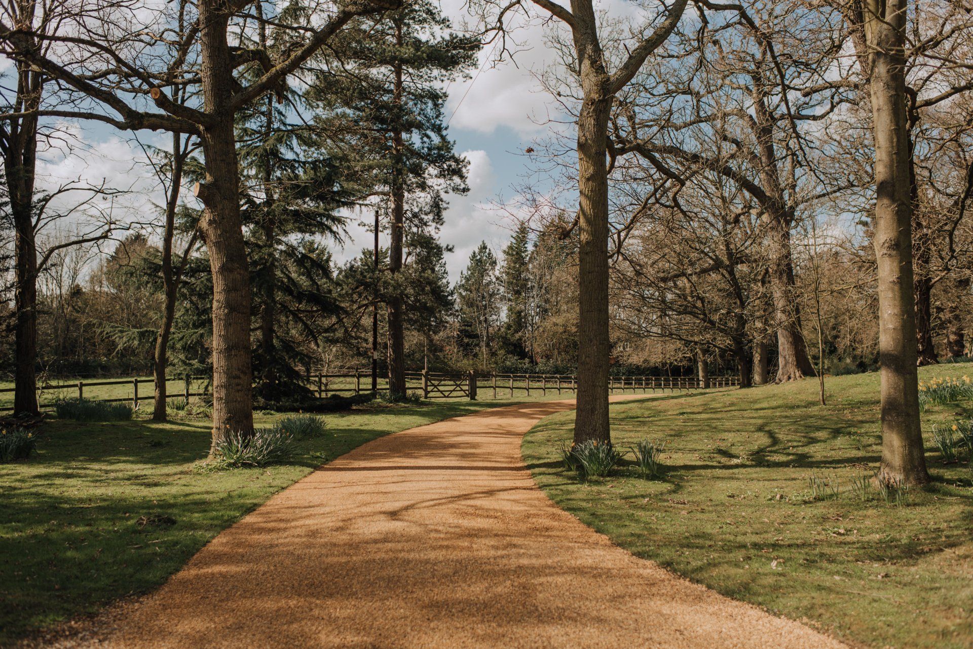 Driveway _Surfacing_ 2