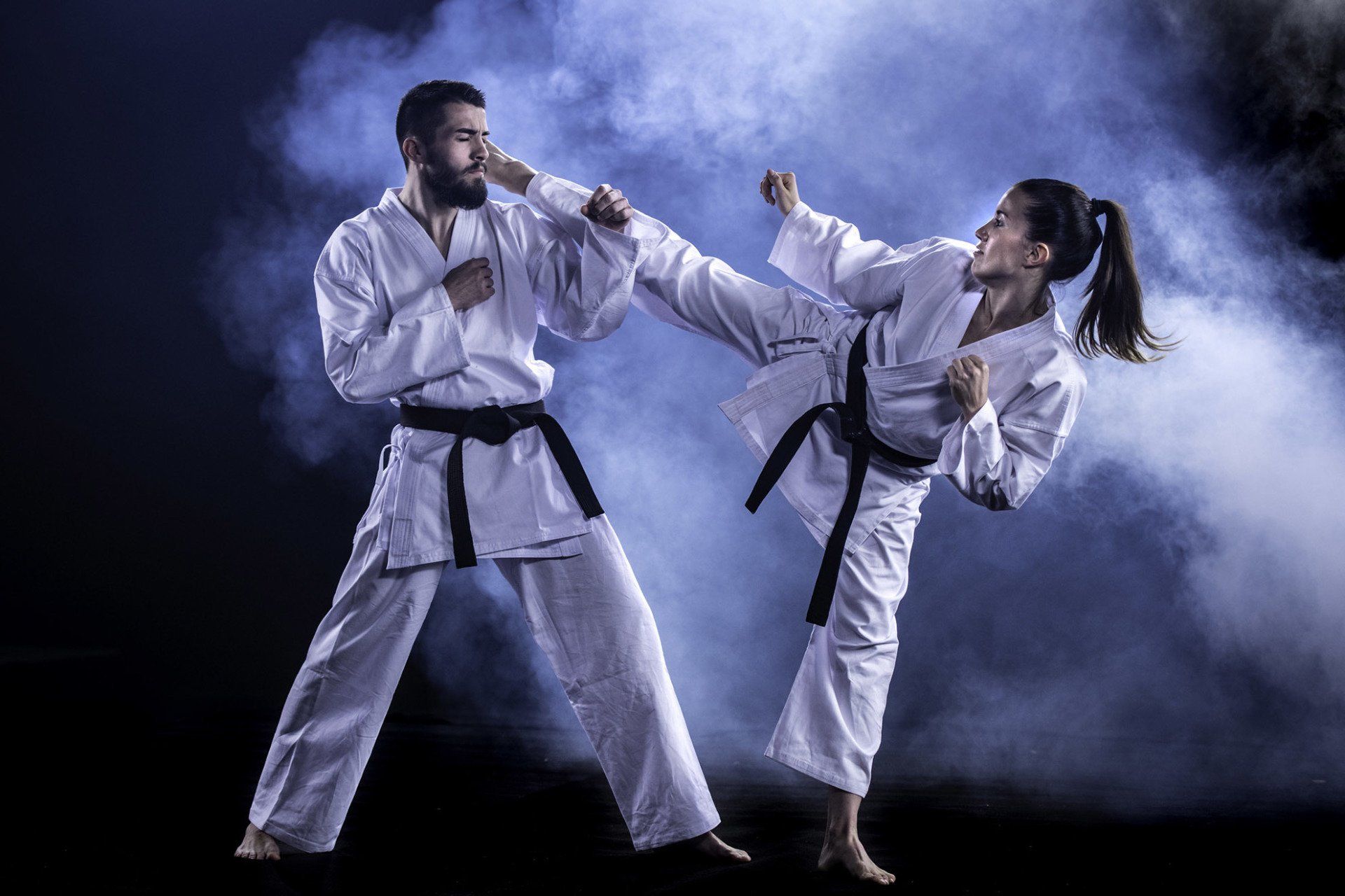 Adult Martial Arts image