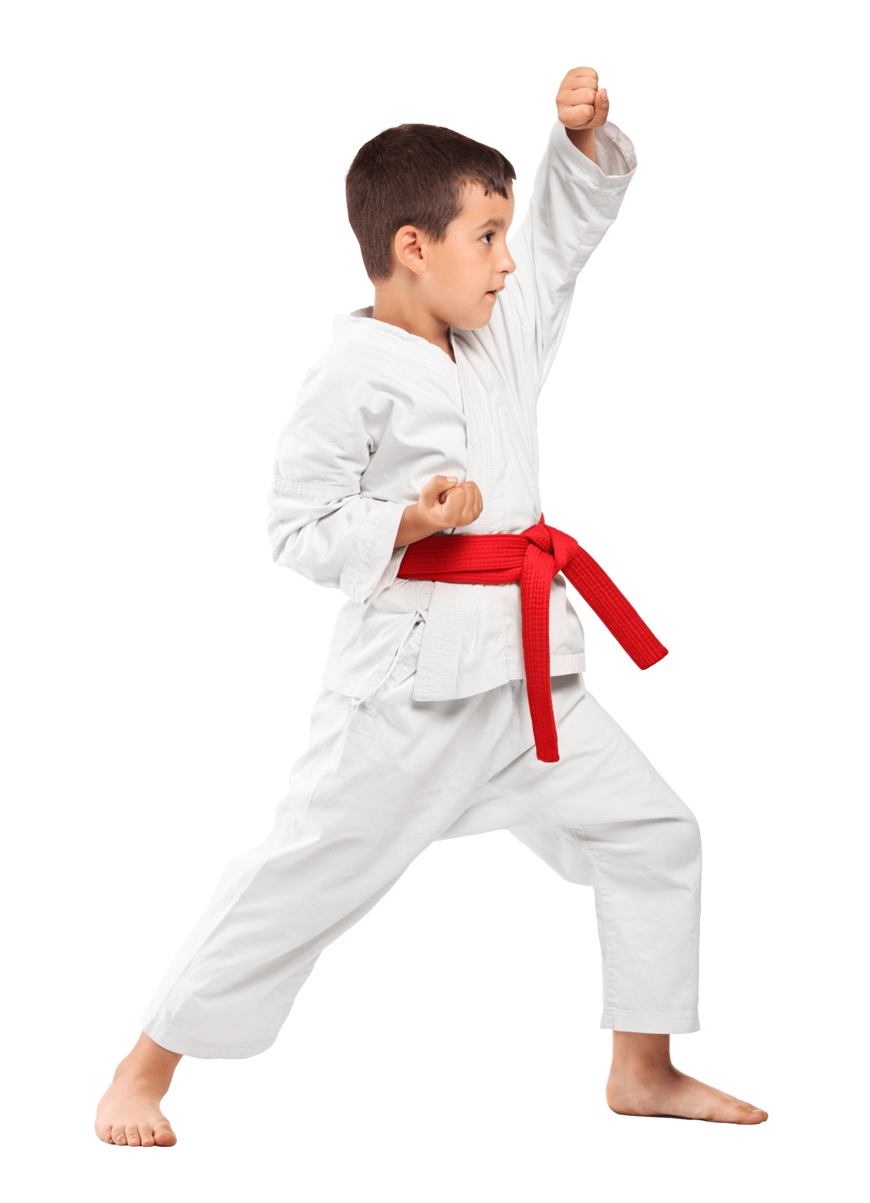 Image of child performing martial arts
