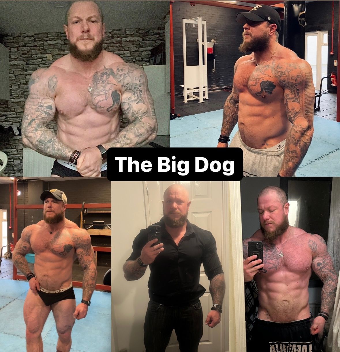 Ask for the big dog who covers North East England