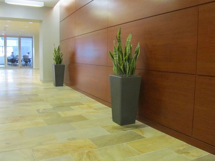 Two potted plants are sitting in a hallway next to a wooden wall.