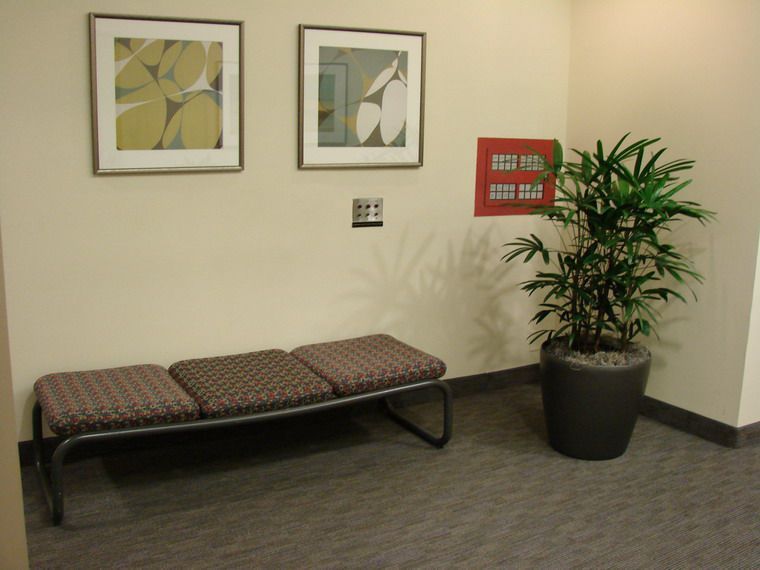 A waiting room with a bench and a potted plant