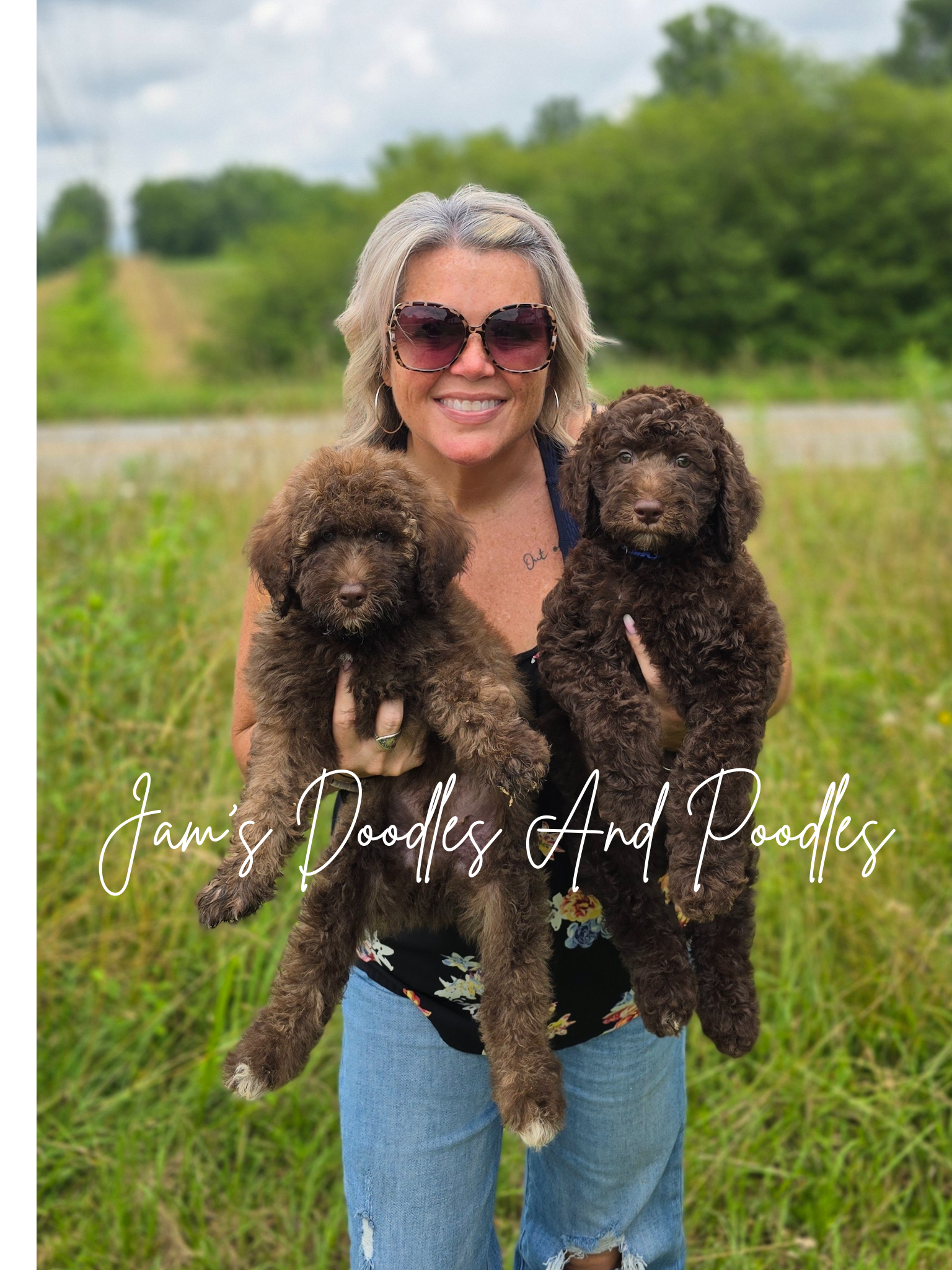 Woman holding two brown curly-haired puppies outdoors; grass, trees, and road in background.