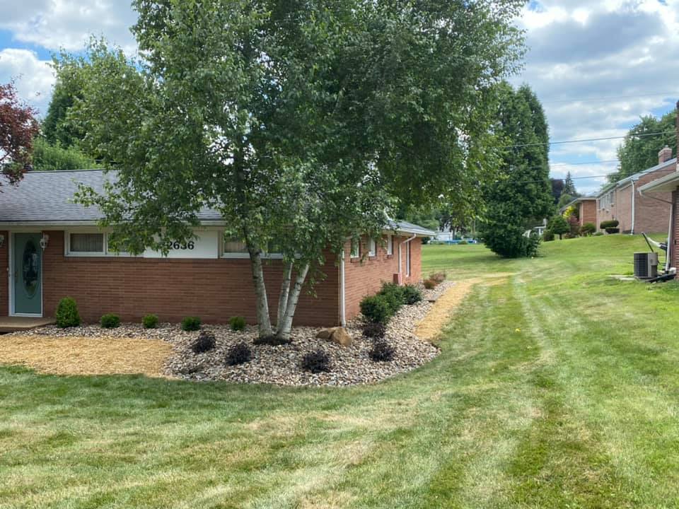 Picture Of Back Of The House With Tree - Canton, OH - Warstler Bros Landscaping