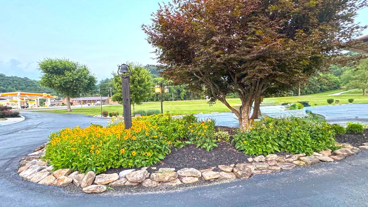 There is a tree in the middle of a parking lot surrounded by flowers.