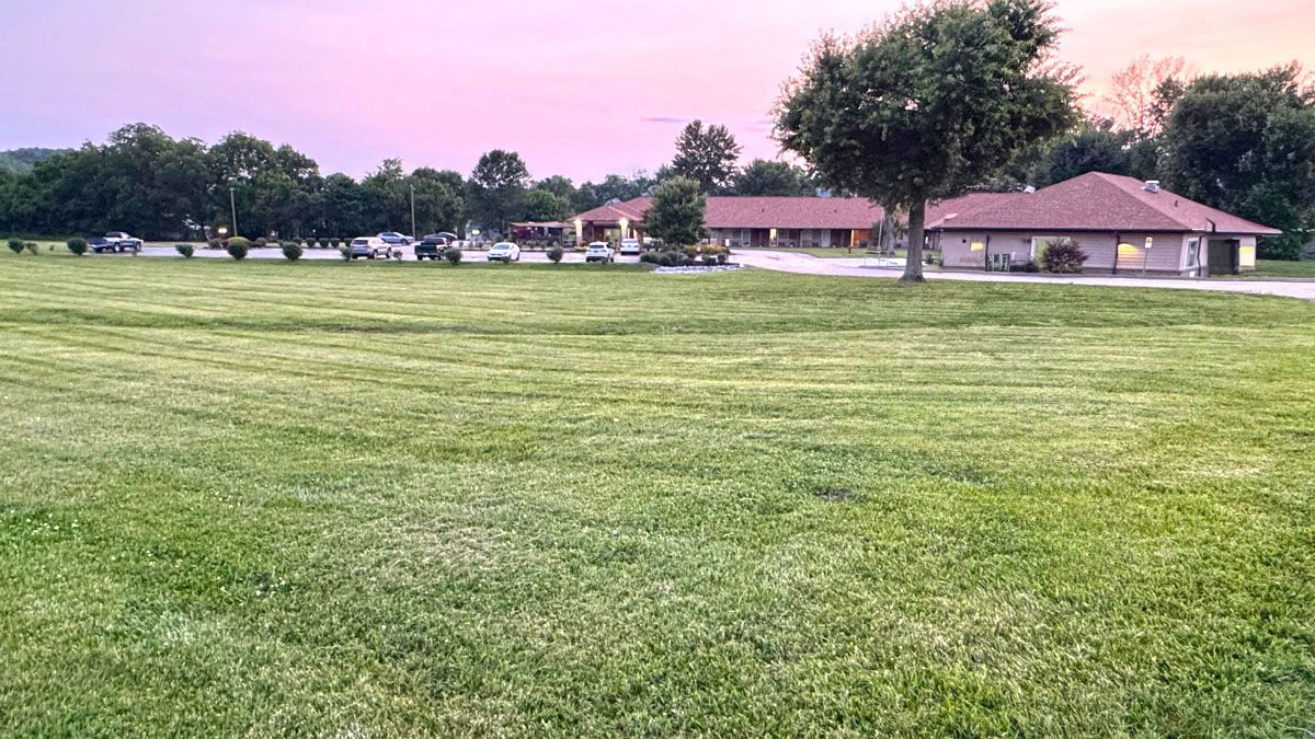 A lush green field with a house in the background