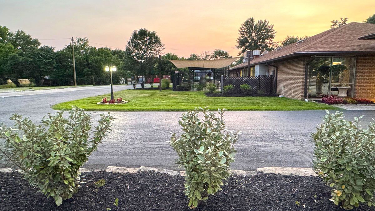 A house with a lot of bushes in front of it