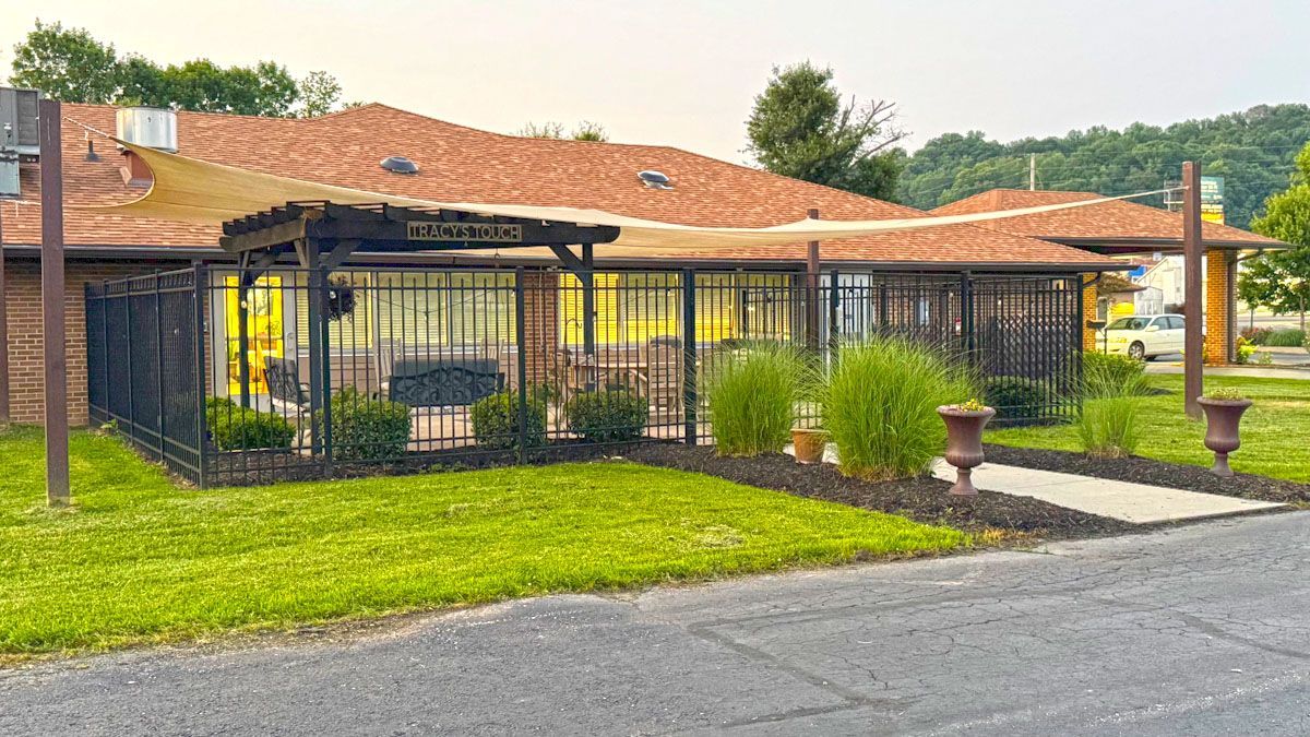 A house with a fence around it and a lot of grass in front of it.