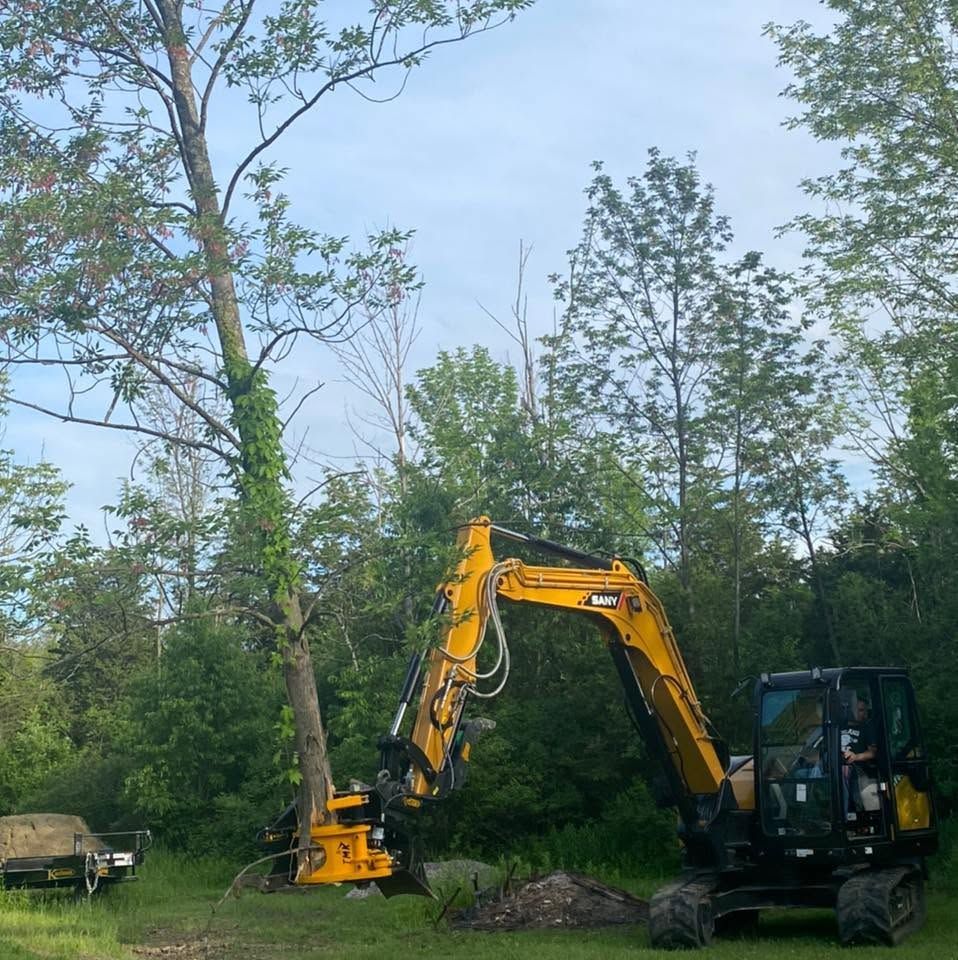 Cut Tree