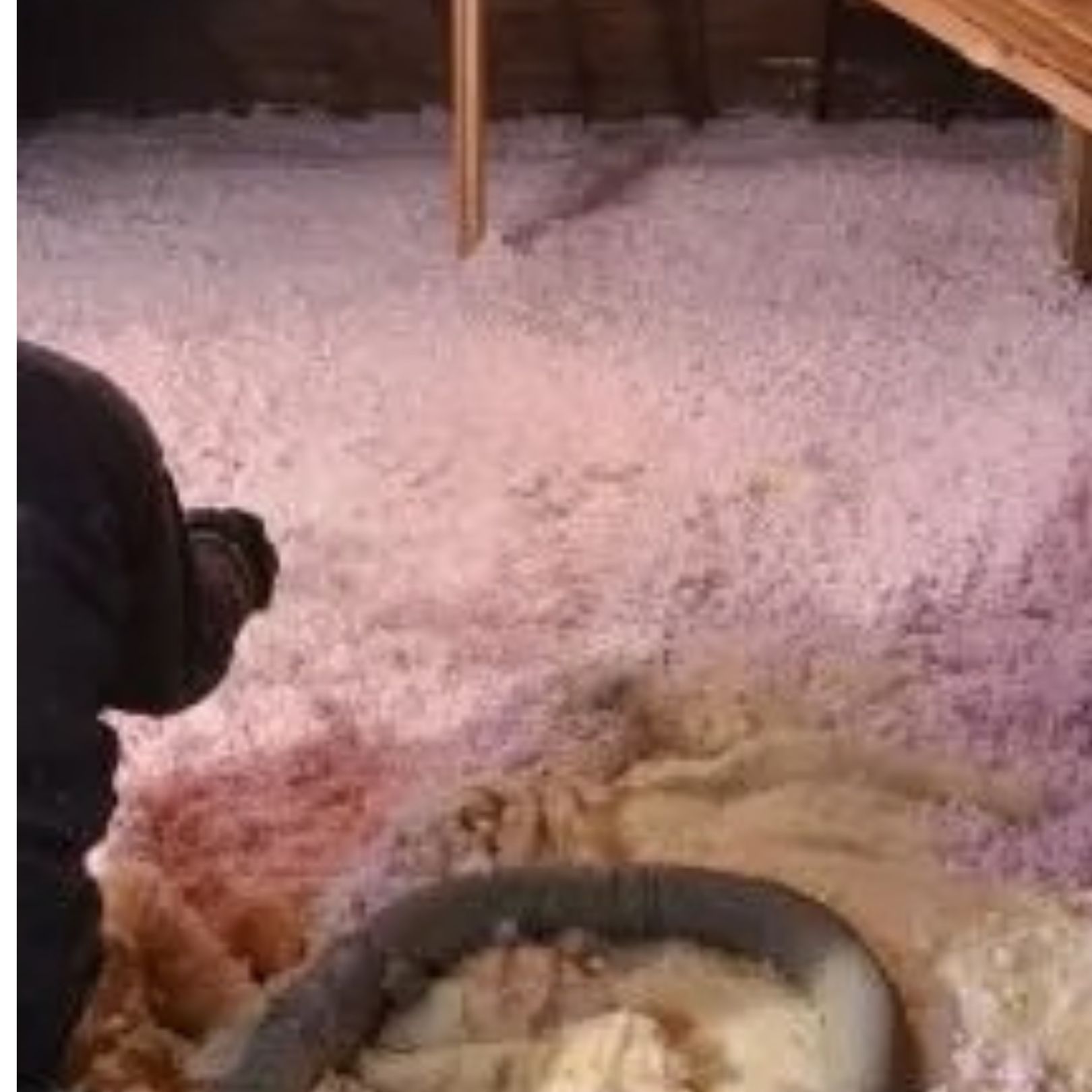 A person sprays loose-fill insulation into a wooden attic space, covering the floor in light purple and tan materials.
