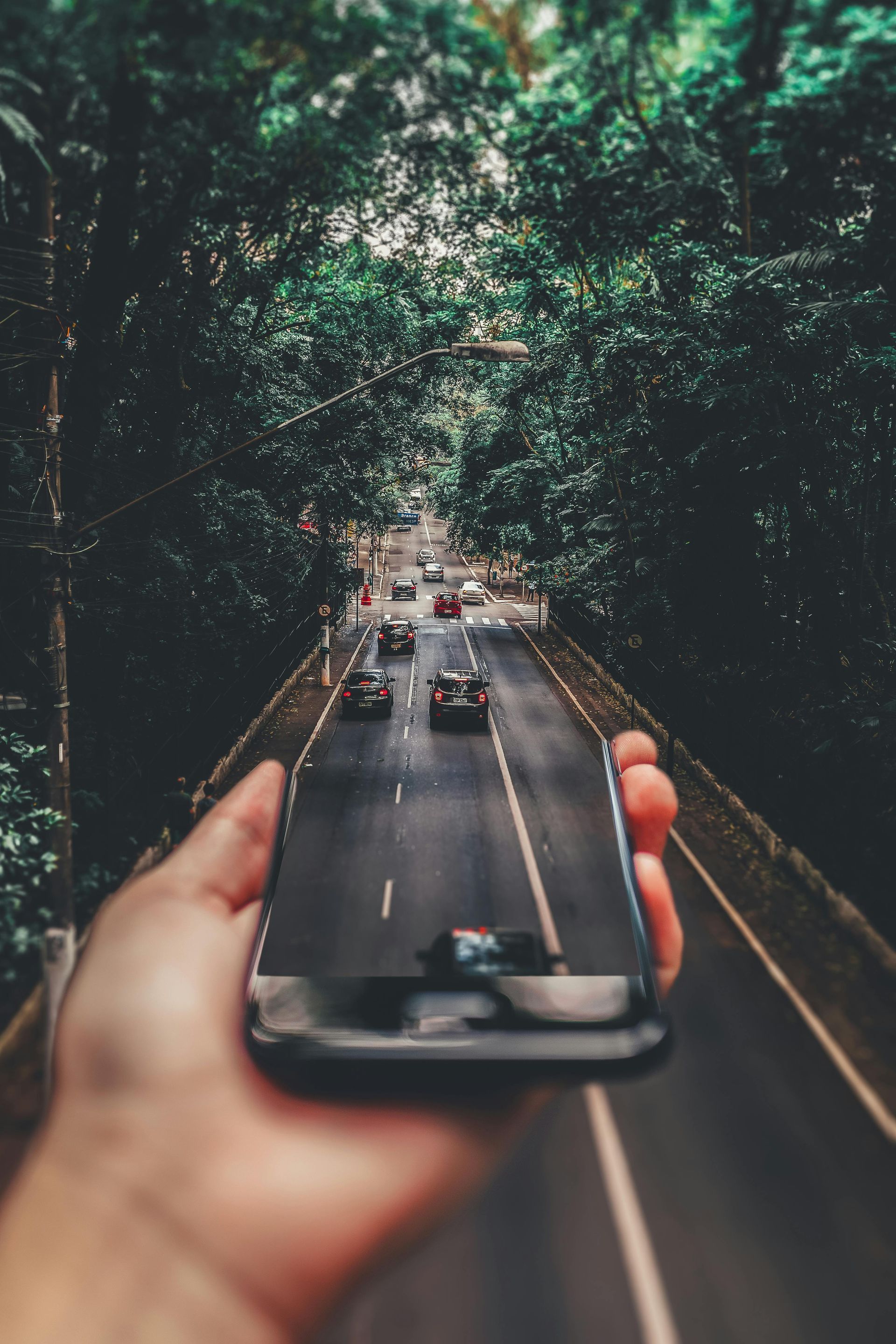 A person is holding a cell phone in their hand and taking a picture of a highway.