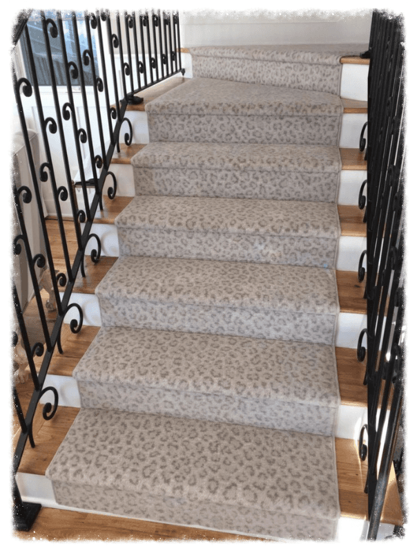 Masland Snow Leopard