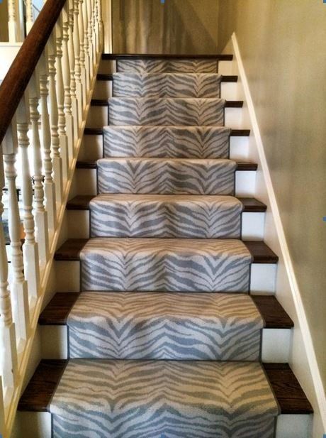 Masland Grevys Zebra