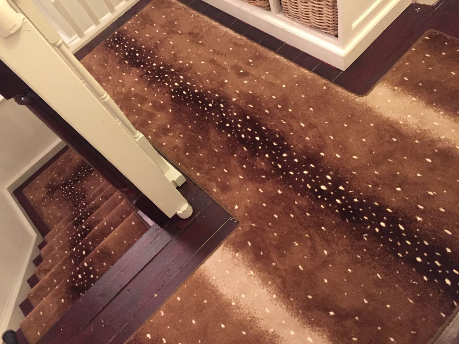 Safari Bronze Antelope