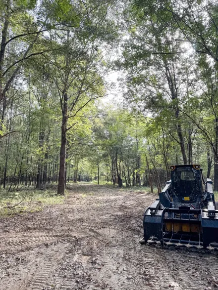 A forest clearing with a machine, sunlight through trees.